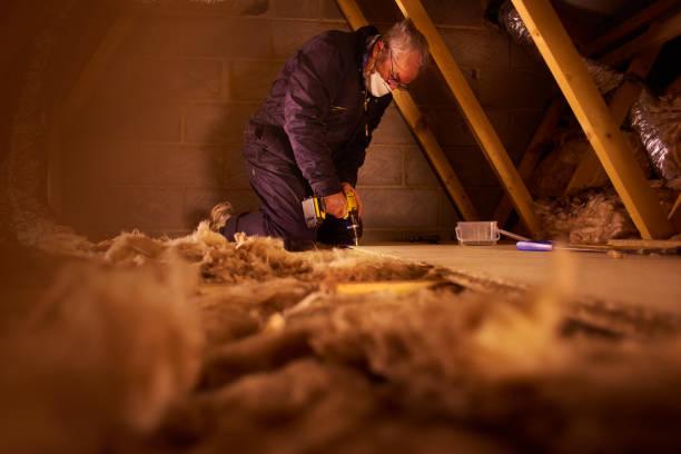 Types of Insulation We Offer in Wallace, FL